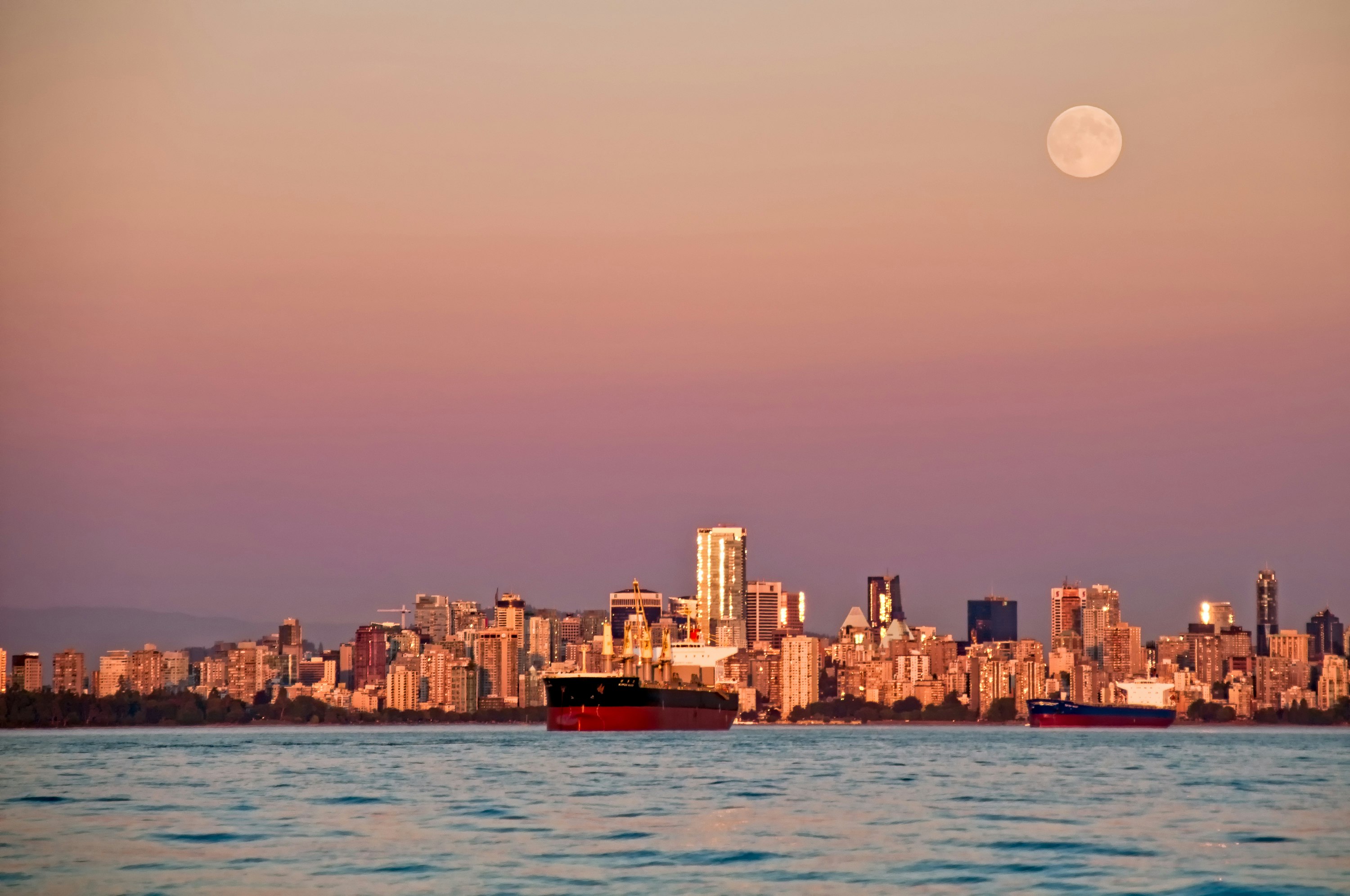 black and red container ship near high-rise buildings